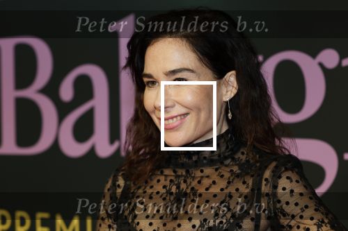 Amsterdam 25 november 2024
Premiere Babygirl in Tuschinski . Halina Reijn is de producente.