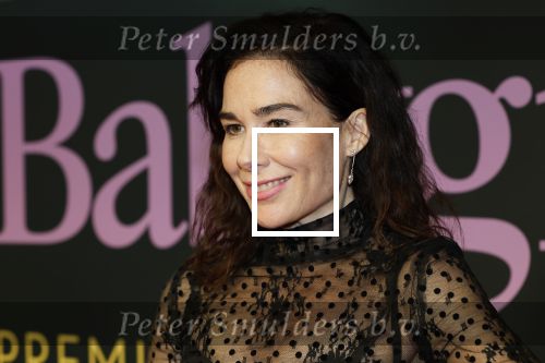 Amsterdam 25 november 2024
Premiere Babygirl in Tuschinski . Halina Reijn is de producente.
