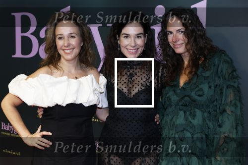 Amsterdam 25 november 2024
Premiere Babygirl in Tuschinski . Halina Reijn is de producente. halina Reijn met haar zussen