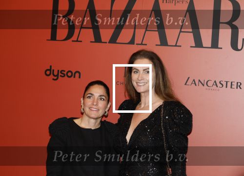 Amsterdam 5 november 2024
Feestje Harpers Bazaar in hotel l\