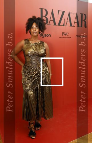 Amsterdam 5 november 2024
Feestje Harpers Bazaar in hotel l\