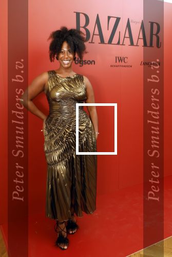 Amsterdam 5 november 2024
Feestje Harpers Bazaar in hotel l\