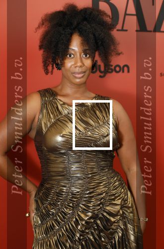 Amsterdam 5 november 2024
Feestje Harpers Bazaar in hotel l\