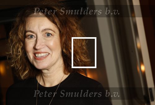 Amsterdam 5 november 2024
Feestje Harpers Bazaar in hotel l\