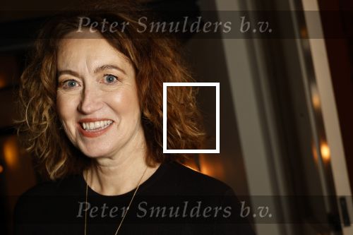 Amsterdam 5 november 2024
Feestje Harpers Bazaar in hotel l\