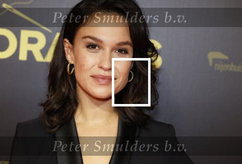 Amsterdam 4 november 2024
Premiere tegendraads in Tuschinski . Holly Brood