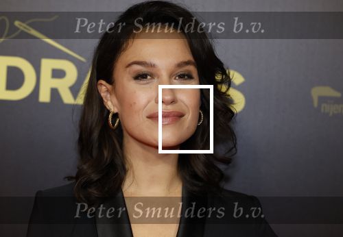 Amsterdam 4 november 2024
Premiere tegendraads in Tuschinski . Holly Brood