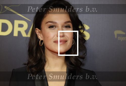 Amsterdam 4 november 2024
Premiere tegendraads in Tuschinski . Holly Brood