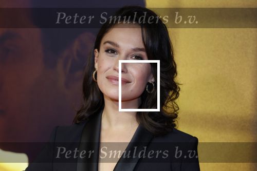 Amsterdam 4 november 2024
Premiere tegendraads in Tuschinski . Holly Brood