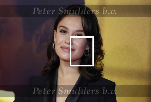 Amsterdam 4 november 2024
Premiere tegendraads in Tuschinski . Holly Brood