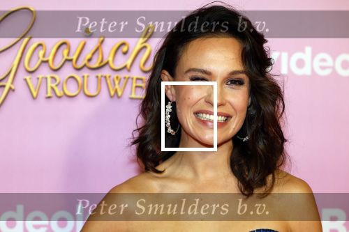 Amsterdam 22 oktober 2024
Premiere Gooische vrouwen in het DeLaMar theater. Holly Brood