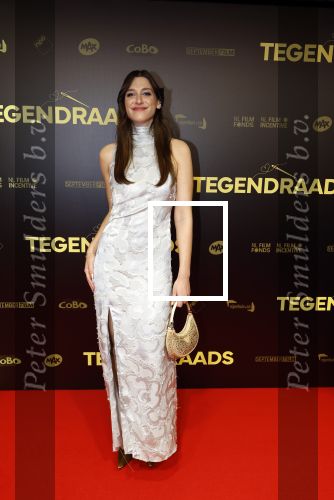 Amsterdam 4 november 2024
Premiere tegendraads in Tuschinski . Ilse Dorine