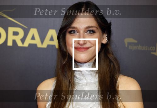 Amsterdam 4 november 2024
Premiere tegendraads in Tuschinski . Ilse Dorine