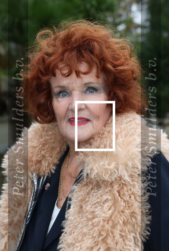 Doorn 16 november 2024
Presentatie cd Box van Anneke Gronloh. Imca Marina