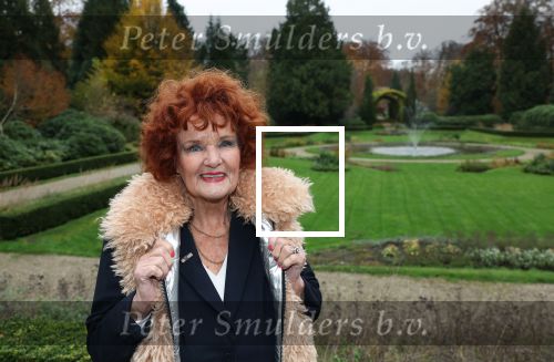 Doorn 16 november 2024
Presentatie cd Box van Anneke Gronloh. Imca Marina