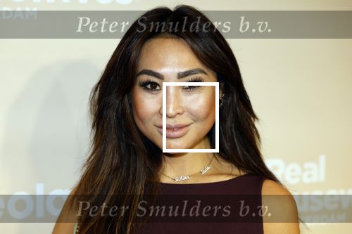 Amsterdam 25 november 2024
Presentatie nieuwe seizoen real housewives of Amsterdam in het Amstel hotel  met oa Maria Tailor Tamara Elbaz Kimmylien nguyen Cherry Ann Person Angela v d Brink Djamila Celina en Deborah Luijendijk. janine Kho