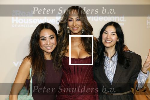Amsterdam 25 november 2024
Presentatie nieuwe seizoen real housewives of Amsterdam in het Amstel hotel  met oa Maria Tailor Tamara Elbaz Kimmylien nguyen Cherry Ann Person Angela v d Brink Djamila Celina en Deborah Luijendijk. janine Kho