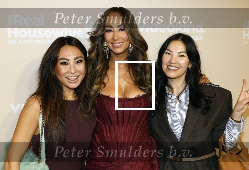 Amsterdam 25 november 2024
Presentatie nieuwe seizoen real housewives of Amsterdam in het Amstel hotel  met oa Maria Tailor Tamara Elbaz Kimmylien nguyen Cherry Ann Person Angela v d Brink Djamila Celina en Deborah Luijendijk. janine Kho