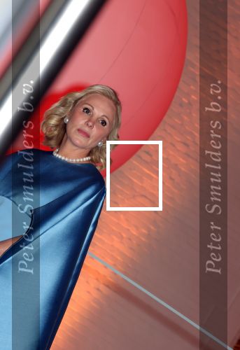 Amsterdam 14 november 2024
Koningin Maxima opent beeldentuin in Stedelijk museum . Er is veel politie en beveiliging aanwezig. Janneke Dreesmann Beerkens