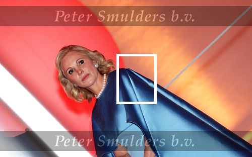 Amsterdam 14 november 2024
Koningin Maxima opent beeldentuin in Stedelijk museum . Er is veel politie en beveiliging aanwezig. Janneke Dreesmann Beerkens