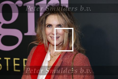 Amsterdam 25 november 2024
Premiere Babygirl in Tuschinski . Halina Reijn is de producente. Jessica Durlacher
