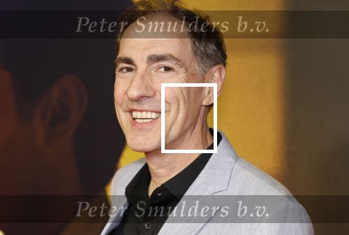 Amsterdam 4 november 2024
Premiere tegendraads in Tuschinski . Johan Neijenhuis