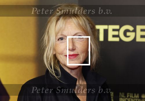 Amsterdam 4 november 2024
Premiere tegendraads in Tuschinski . Johanna ter Stegge kwam met haar man