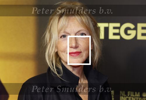 Amsterdam 4 november 2024
Premiere tegendraads in Tuschinski . Johanna ter Stegge kwam met haar man