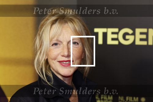 Amsterdam 4 november 2024
Premiere tegendraads in Tuschinski . Johanna ter Stegge kwam met haar man