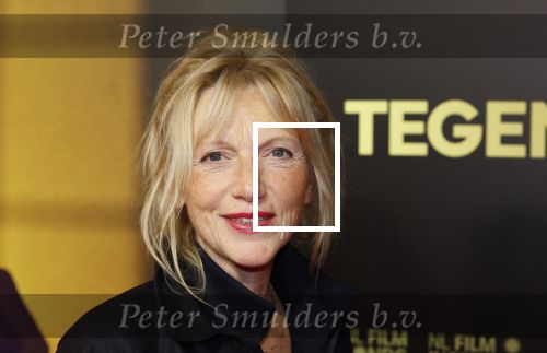 Amsterdam 4 november 2024
Premiere tegendraads in Tuschinski . Johanna ter Stegge kwam met haar man