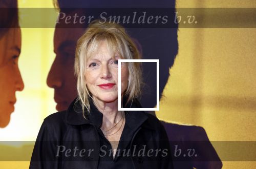 Amsterdam 4 november 2024
Premiere tegendraads in Tuschinski . Johanna ter Stegge kwam met haar man