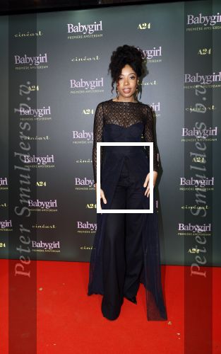 Amsterdam 25 november 2024
Premiere Babygirl in Tuschinski . Halina Reijn is de producente. Joy Delima