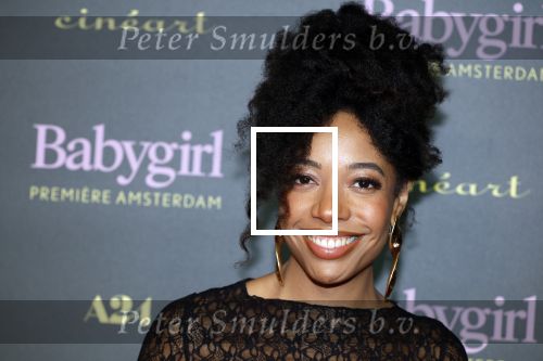 Amsterdam 25 november 2024
Premiere Babygirl in Tuschinski . Halina Reijn is de producente. Joy Delima