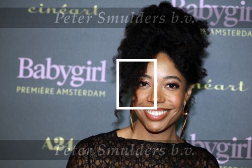 Amsterdam 25 november 2024
Premiere Babygirl in Tuschinski . Halina Reijn is de producente. Joy Delima
