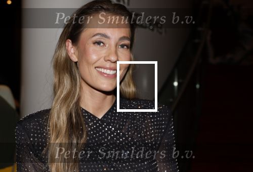 Amsterdam 6 november 2024
Premiere iris Rulkens in het deLaMar theater. Julia Mekkes