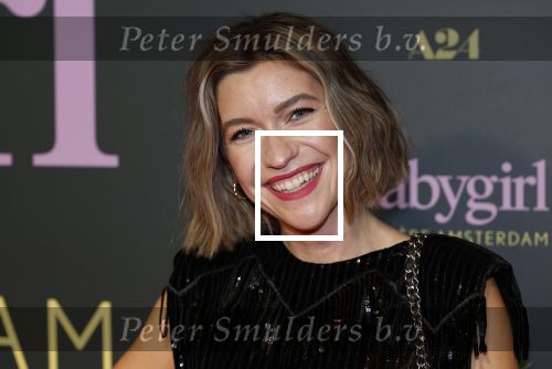 Amsterdam 25 november 2024
Premiere Babygirl in Tuschinski . Halina Reijn is de producente. Julia Schellekens