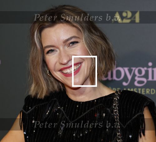 Amsterdam 25 november 2024
Premiere Babygirl in Tuschinski . Halina Reijn is de producente. Julia Schellekens
