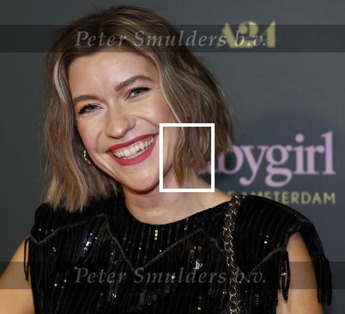 Amsterdam 25 november 2024
Premiere Babygirl in Tuschinski . Halina Reijn is de producente. Julia Schellekens