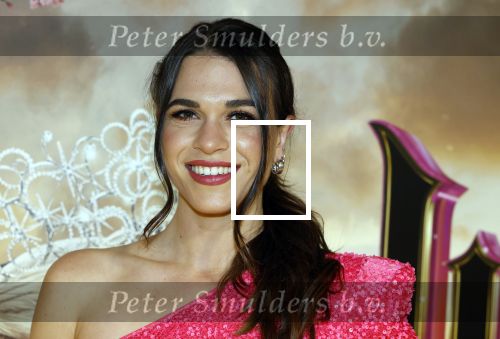 Amsterdam 3 december 2024
Premiere Wicked in Tuschinski. Julia Sinning