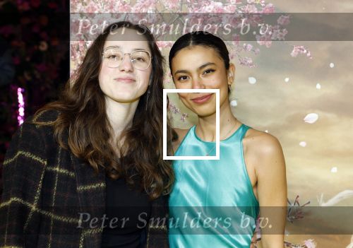 Amsterdam 3 december 2024
Premiere Wicked in Tuschinski. Julia Tan met partner