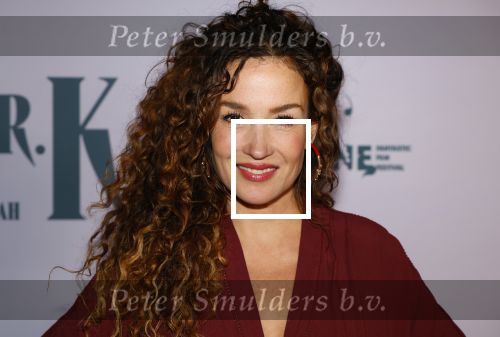 Amsterdam 24 oktober 2024
Rode loper verslag feestelijke opening
Imagine Fantastic Film Festival met de film Mr.K  van Tallulah Schwab met in de hoofdrol Crispin Glover. Katja Schuurman