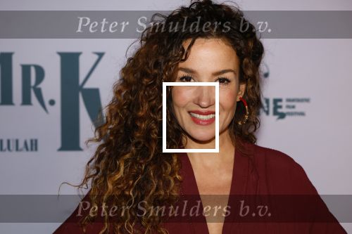 Amsterdam 24 oktober 2024
Rode loper verslag feestelijke opening
Imagine Fantastic Film Festival met de film Mr.K  van Tallulah Schwab met in de hoofdrol Crispin Glover. Katja Schuurman