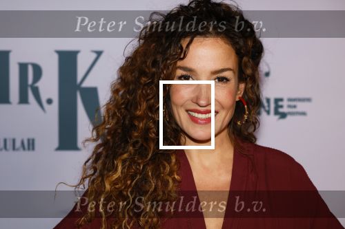Amsterdam 24 oktober 2024
Rode loper verslag feestelijke opening
Imagine Fantastic Film Festival met de film Mr.K  van Tallulah Schwab met in de hoofdrol Crispin Glover. Katja Schuurman