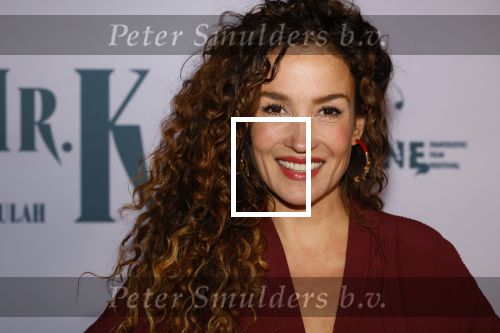Amsterdam 24 oktober 2024
Rode loper verslag feestelijke opening
Imagine Fantastic Film Festival met de film Mr.K  van Tallulah Schwab met in de hoofdrol Crispin Glover. Katja Schuurman
