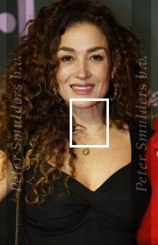 Amsterdam 25 november 2024
Premiere Babygirl in Tuschinski . Halina Reijn is de producente. katja Schuurman kwam met een vriendin