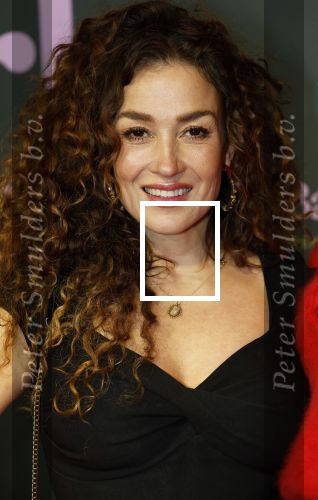 Amsterdam 25 november 2024
Premiere Babygirl in Tuschinski . Halina Reijn is de producente. katja Schuurman kwam met een vriendin