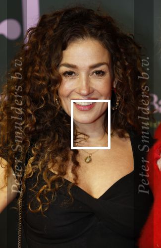 Amsterdam 25 november 2024
Premiere Babygirl in Tuschinski . Halina Reijn is de producente. katja Schuurman kwam met een vriendin
