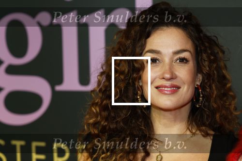 Amsterdam 25 november 2024
Premiere Babygirl in Tuschinski . Halina Reijn is de producente. katja Schuurman kwam met een vriendin