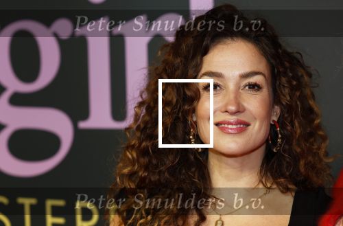 Amsterdam 25 november 2024
Premiere Babygirl in Tuschinski . Halina Reijn is de producente. katja Schuurman kwam met een vriendin