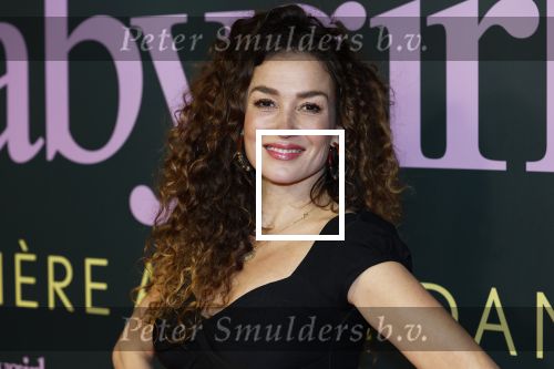 Amsterdam 25 november 2024
Premiere Babygirl in Tuschinski . Halina Reijn is de producente. katja Schuurman kwam met een vriendin